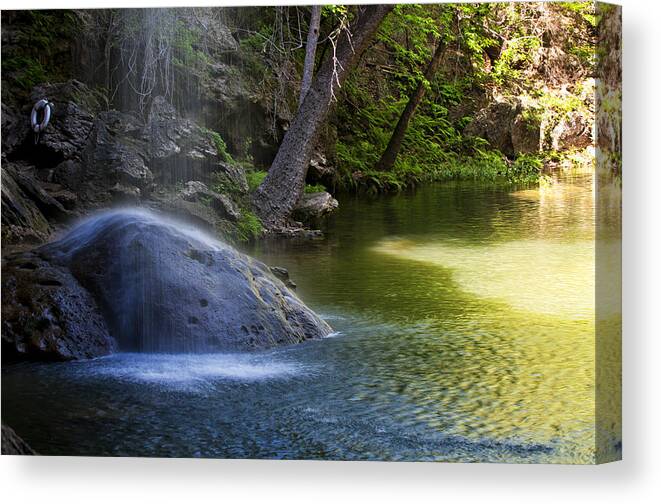 Waterfall Canvas Print featuring the photograph Water Falling on Rock by Lisa Spencer