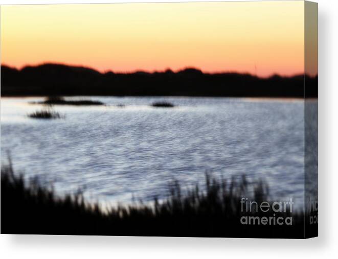 Water Canvas Print featuring the photograph Wetland by Henrik Lehnerer