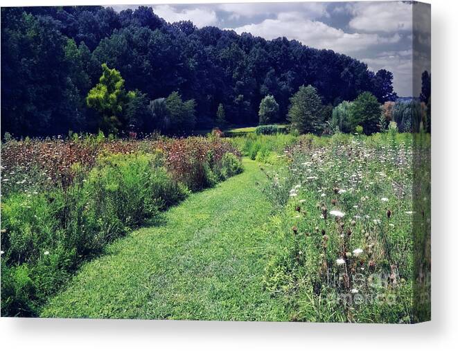 Garden Canvas Print featuring the photograph Wildflower Field Evening by Susan Isakson