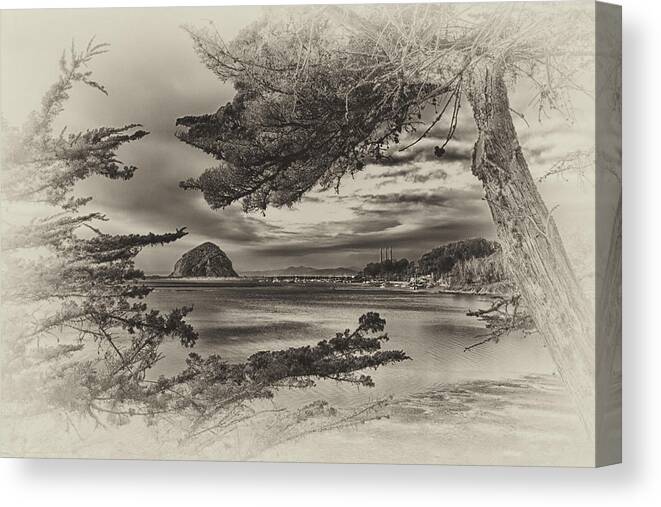 Morro Bay Canvas Print featuring the photograph Windy Cove BW by Beth Sargent