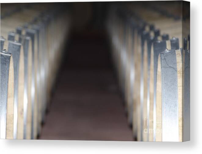 Wine Barrel Canvas Print featuring the photograph Wine barrels in line by Mats Silvan