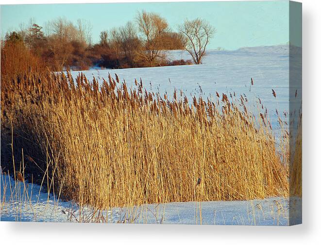 Landscape Canvas Print featuring the photograph Winter Breeze by Aimee L Maher ALM GALLERY