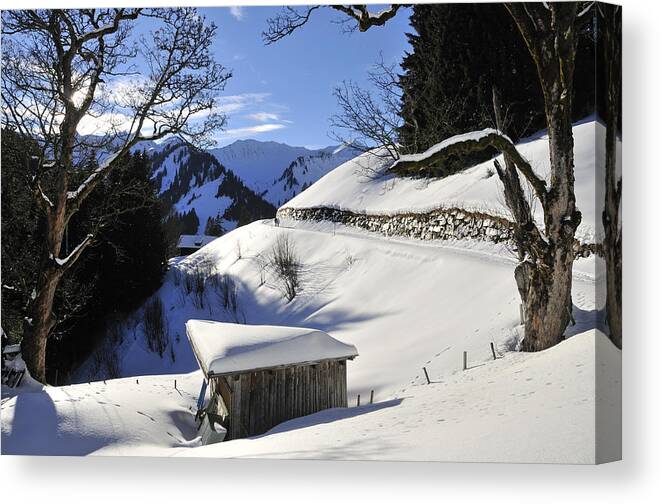 Winter Canvas Print featuring the photograph Winter landscape by Matthias Hauser