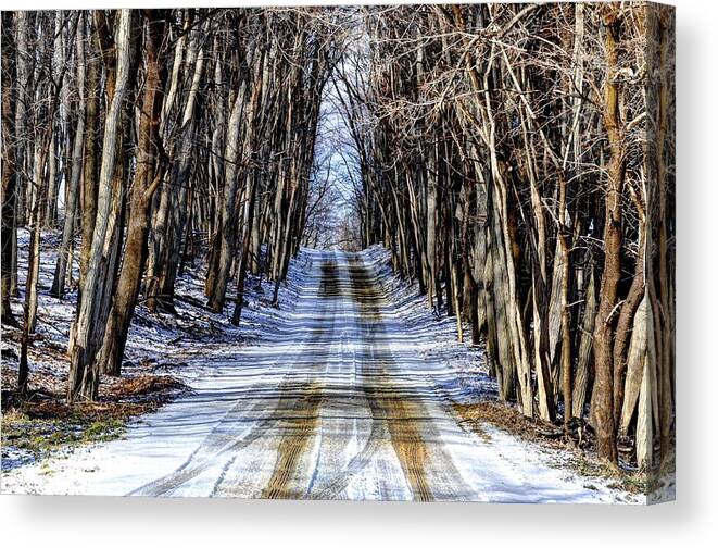 Road Canvas Print featuring the photograph Winter Road by Rodney Campbell