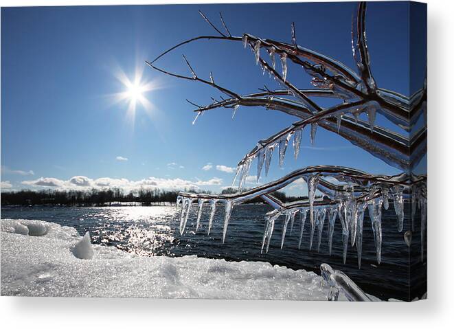 Winter Canvas Print featuring the photograph Winter Tale by Mircea Costina Photography