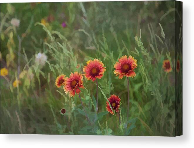 Flowers Canvas Print featuring the photograph Yawn...more flowers by John Crothers