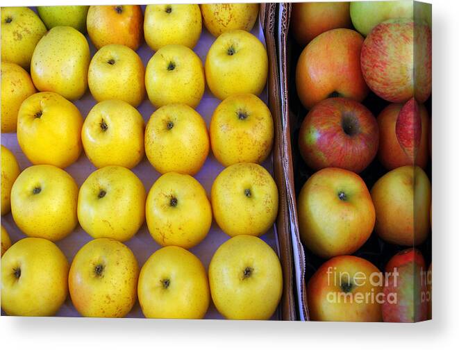 Agriculture Canvas Print featuring the photograph Yellow Apples by Carlos Caetano