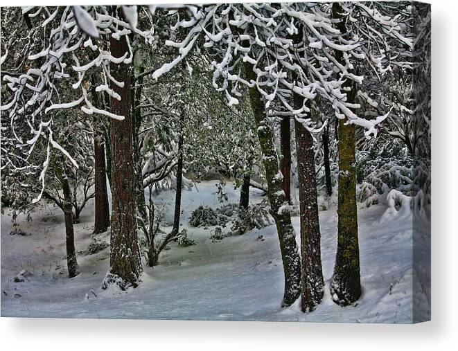 Landscape Canvas Print featuring the photograph Yosemite Snow by Bonnie Bruno