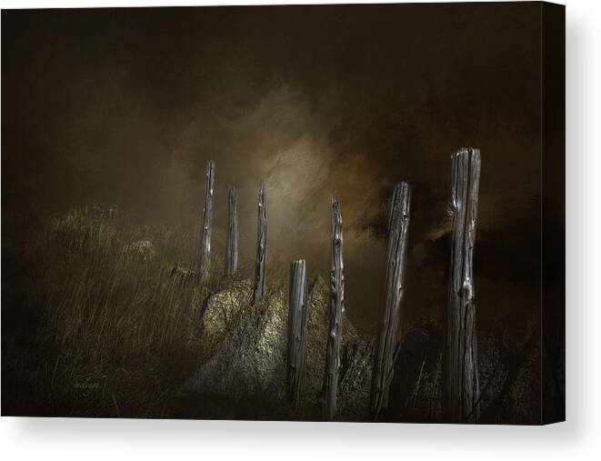 Shoreline Canvas Print featuring the photograph Pines Of Passage by Mary Clough