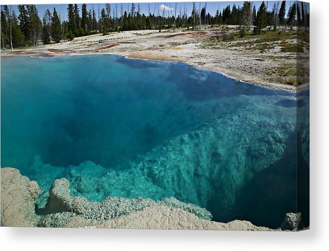 Hot Canvas Print featuring the photograph  Turquoise hot springs Yellowstone by Garry Gay