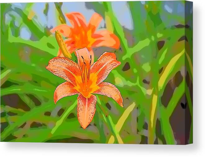  Canvas Print featuring the photograph 0009 by Deana Howell