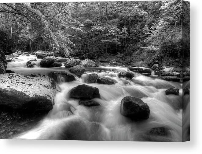 Monochrome River Scene Canvas Print featuring the photograph A Black And White River by Mike Eingle
