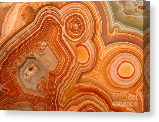 Agate Canvas Print featuring the photograph Agate #1 by Ted Kinsman