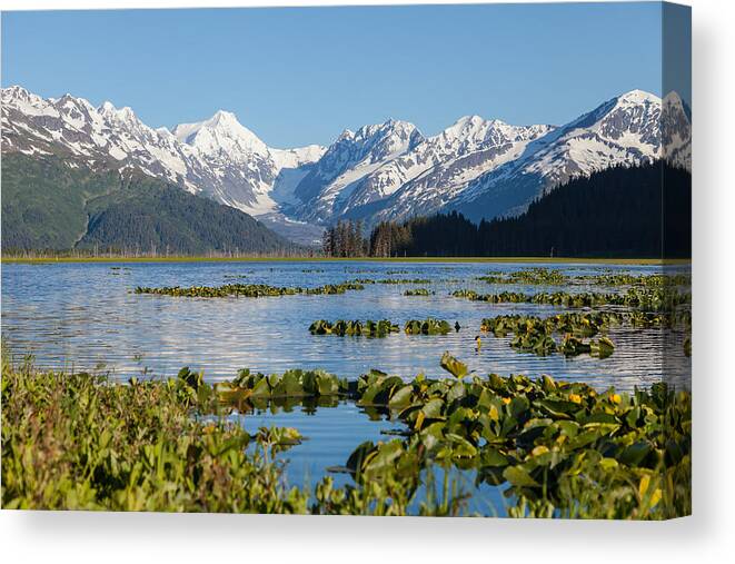 Alaska Canvas Print featuring the photograph Alaska Coastal Landscape #3 by Scott Slone