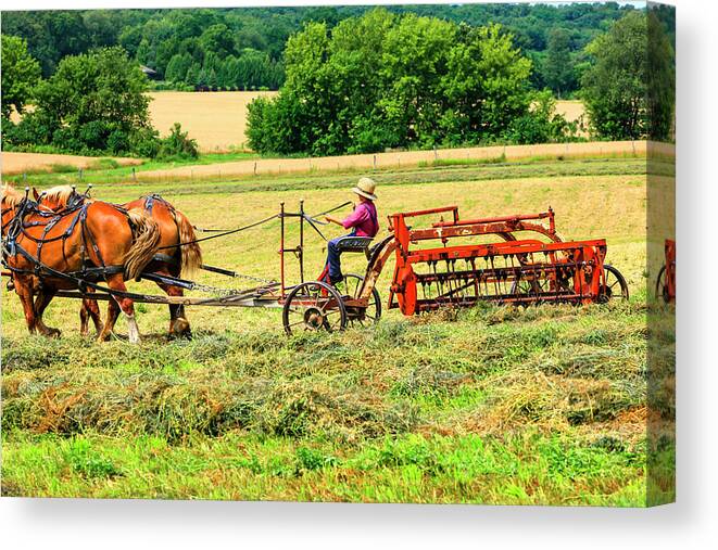 Young Canvas Print featuring the photograph Amish Farming #1 by Chris Smith