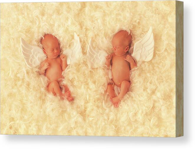 Angel Canvas Print featuring the photograph Angels #3 by Anne Geddes