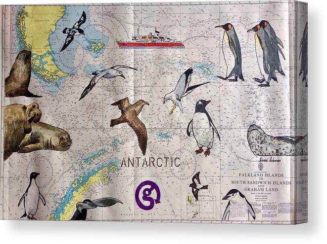 Birds Canvas Print featuring the painting Antarctica Nautical chart #2 by Yvonne Ankerman