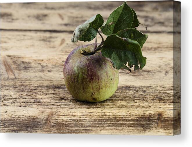 Apple Canvas Print featuring the photograph Apple #1 by Nailia Schwarz