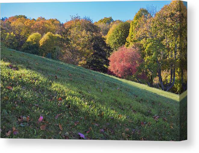 Vermont Autumn Canvas Print featuring the photograph Autumn Palette by Tom Singleton