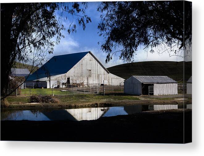 Birds Landing Canvas Print featuring the photograph Birds Landing Barn #1 by Bruce Bottomley