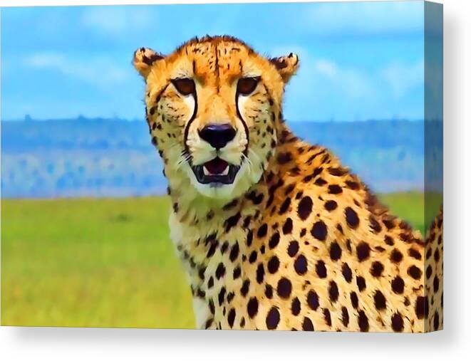 Cheetah Canvas Print featuring the photograph Cheetah #1 by Gini Moore