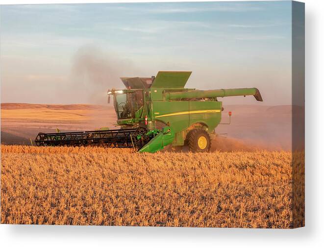 Chickpeas Canvas Print featuring the photograph Chickpea Harvest #1 by Todd Klassy