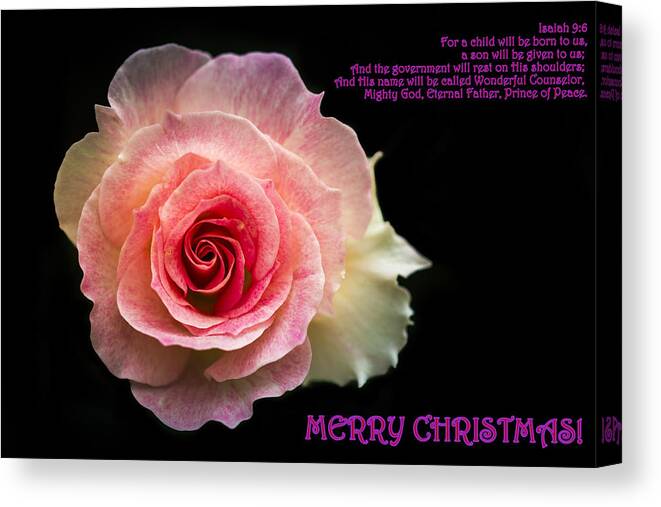 Christmas Canvas Print featuring the photograph Christmas Greetings #1 by Jijo George