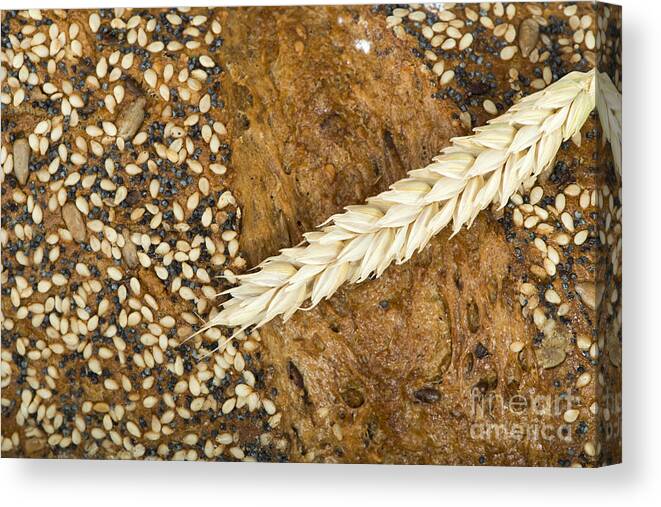 Agriculture Canvas Print featuring the photograph Close up Bread and wheat cereal crops #1 by Deyan Georgiev