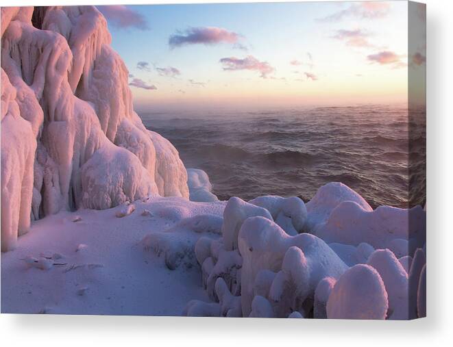 Coolness Canvas Print featuring the photograph Coolness #2 by Mary Amerman
