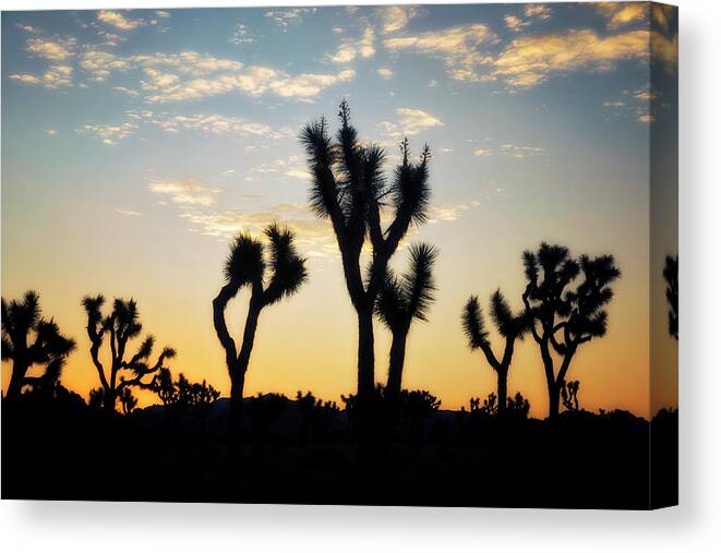 Coachella Valley Canvas Print featuring the photograph Day Break by Nicki Frates