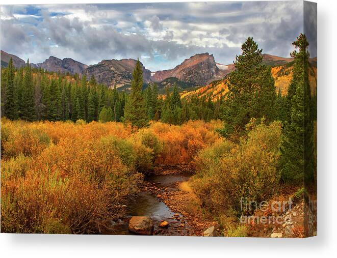 Rocky Mountain National Park Canvas Print featuring the photograph Fall in Rocky Mountain National Park #2 by Ronda Kimbrow