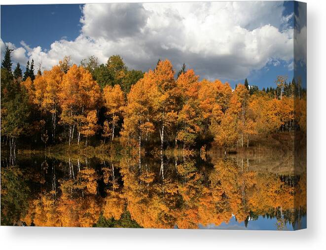 Autumn Canvas Print featuring the photograph Fall Reflections #1 by Mark Smith