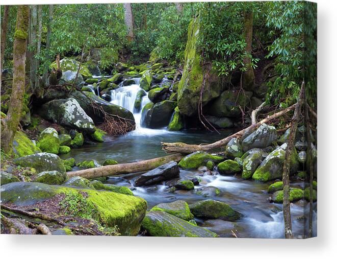 Waterfall Canvas Print featuring the photograph Falls #1 by Lindsey Weimer