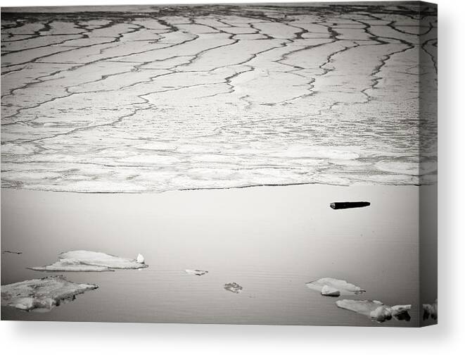 Log Canvas Print featuring the photograph Floating #1 by Mandy Wiltse