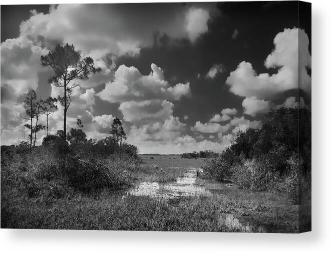 Everglades Canvas Print featuring the photograph Florida Everglades #1 by Rudy Umans