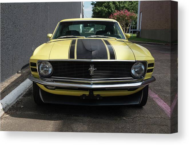 Ford Mustang Boss 302 Canvas Print featuring the photograph Ford Mustang Boss 302 #1 by Mariel Mcmeeking