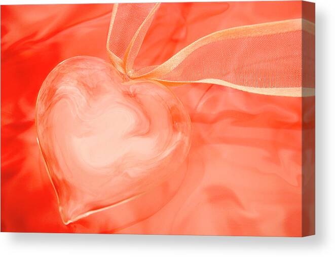 Heart Canvas Print featuring the photograph Fragile Heart Valentine's Day Card by Carol Leigh