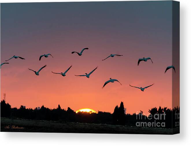 Sunset Canvas Print featuring the photograph Go west #2 by Arik Baltinester