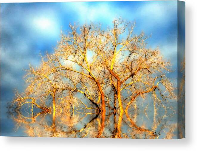 Trees Canvas Print featuring the photograph Golden Dawn #1 by Ross Powell