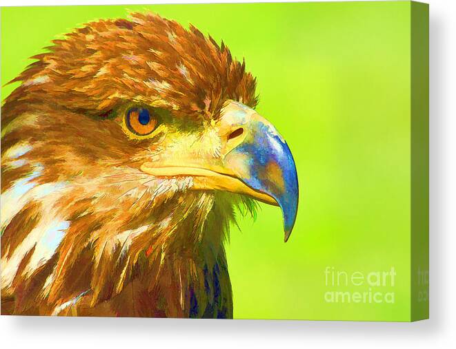 Bird Canvas Print featuring the digital art Golden Eagle #1 by Teresa Zieba