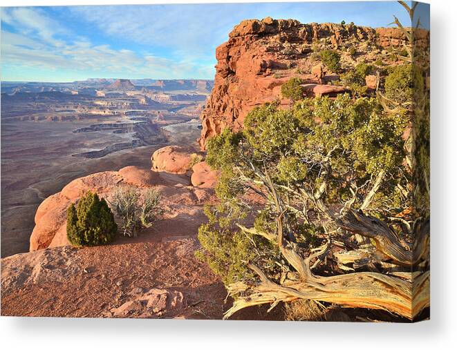 Canyonlands National Park Canvas Print featuring the photograph Green River Overlook #4 by Ray Mathis