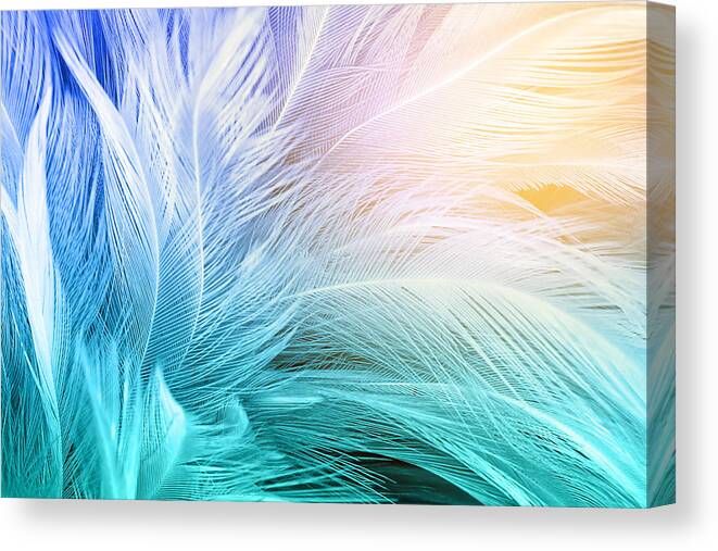 Green turquoise and blue color trends chicken feather texture background,Light  orange Canvas Print / Canvas Art by Nattaya Mahaum - Fine Art America