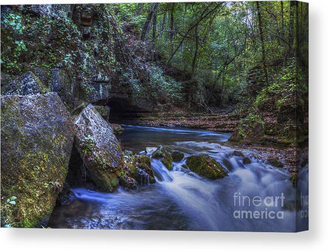 Greer Spring Canvas Print featuring the photograph Greer Springs by Larry Braun