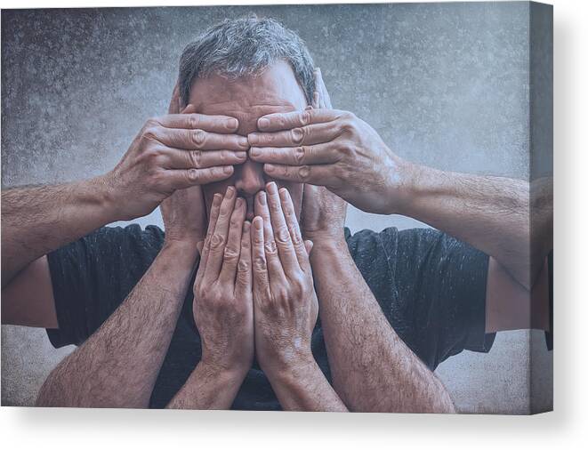 365 Project Canvas Print featuring the photograph Hear, See, Speak by Scott Norris