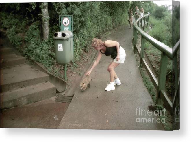 View Canvas Print featuring the photograph Iguazu Falls animal life #1 by Ted Pollard