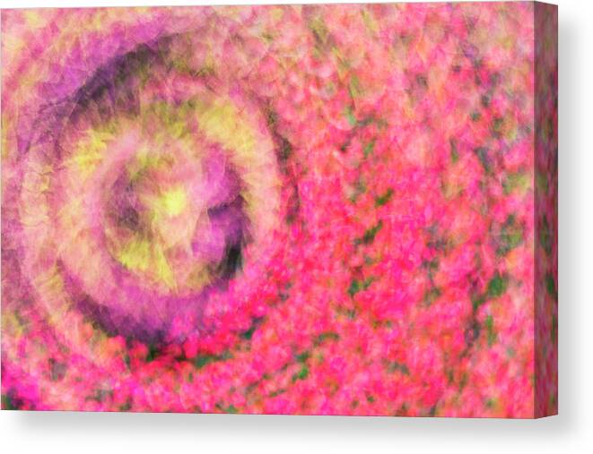Summer Canvas Print featuring the photograph Impression Series - Floral Galaxies #1 by Ranjay Mitra