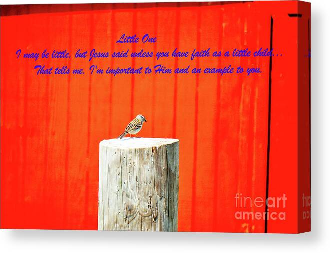 Bird Canvas Print featuring the photograph Little One by Merle Grenz