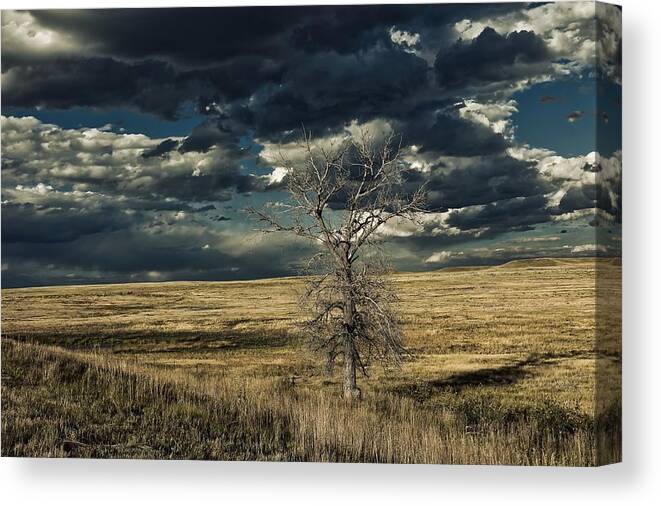 Prairie Canvas Print featuring the photograph Lonesome Prairie #1 by Mountain Dreams