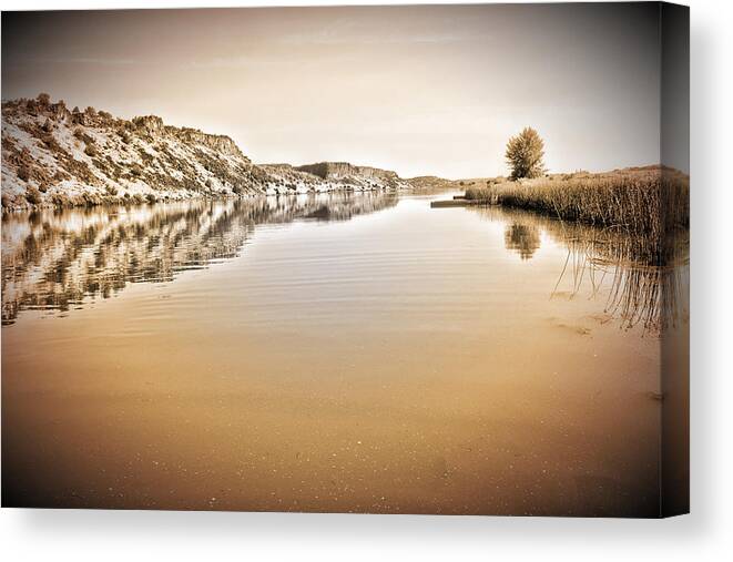 Nature Photography Canvas Print featuring the photograph Long Ago and Far Away #1 by Bonnie Bruno