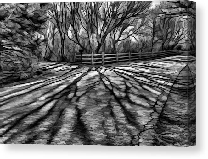 Tree Canvas Print featuring the digital art Long shadows #1 by Lilia S
